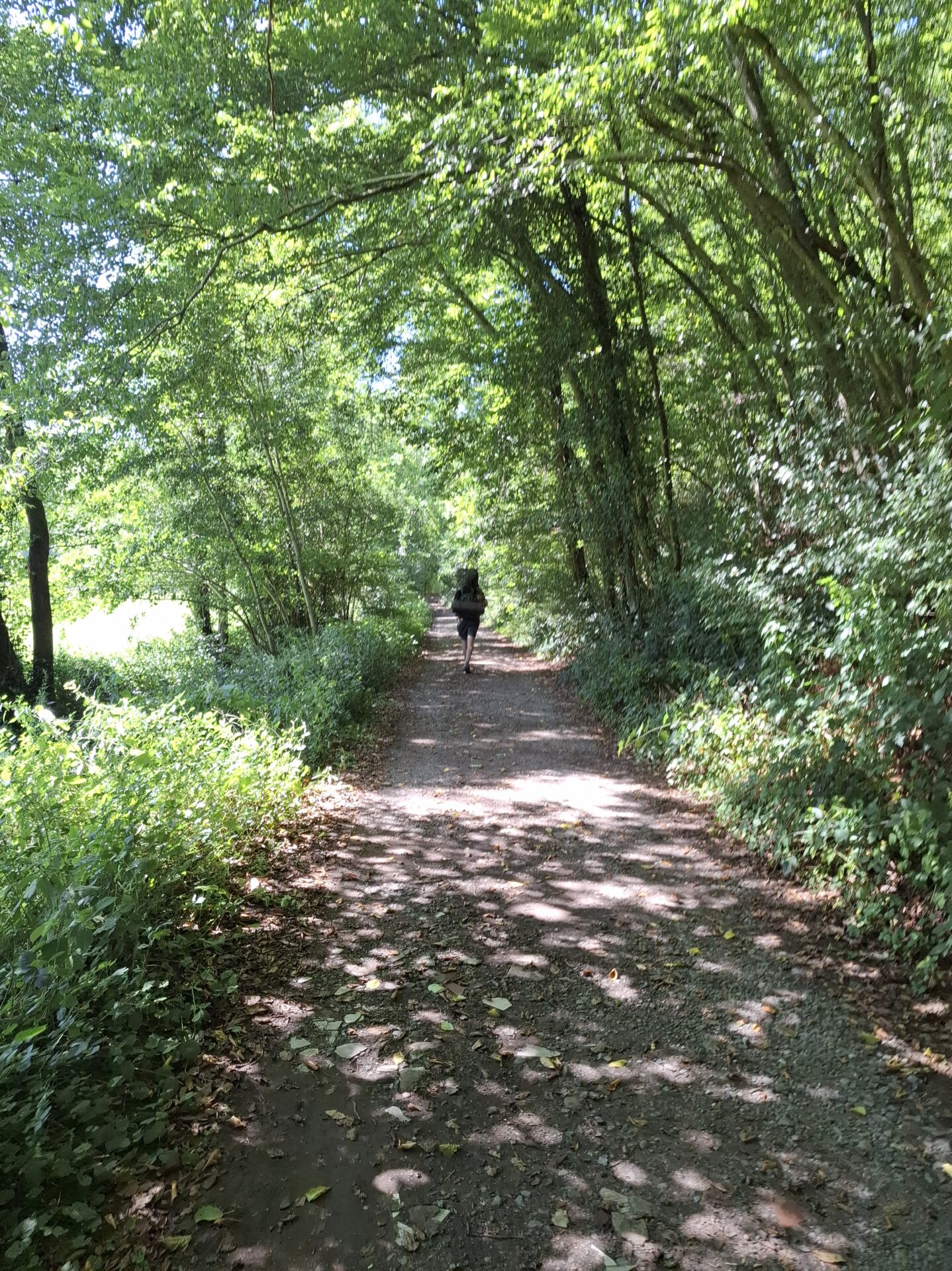 “Ik Heb Niks Maar Alles”: Barefoot Camping in the Forest