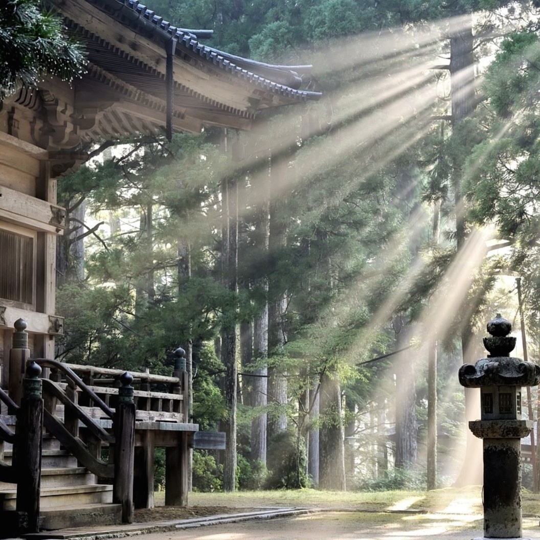 3 Japanse Zen-achtig Ideeën Die Jouw Dag Mooier Maakt